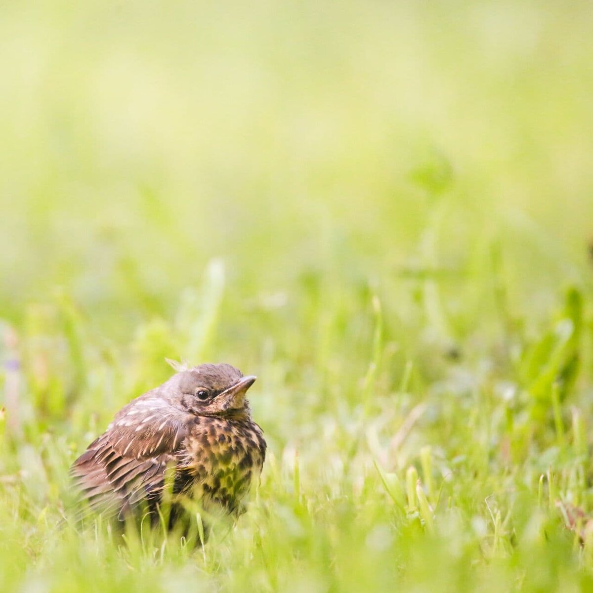 Нет меня тут, хватит смотреть