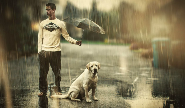 Изображение взято из открытого доступа. Совершайте как можно больше добрых дел, которых так не хватает в современных реалиях...