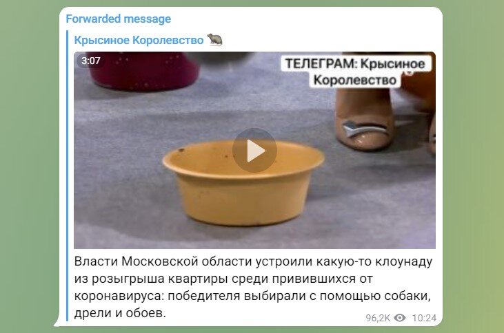Скриншот Telegram