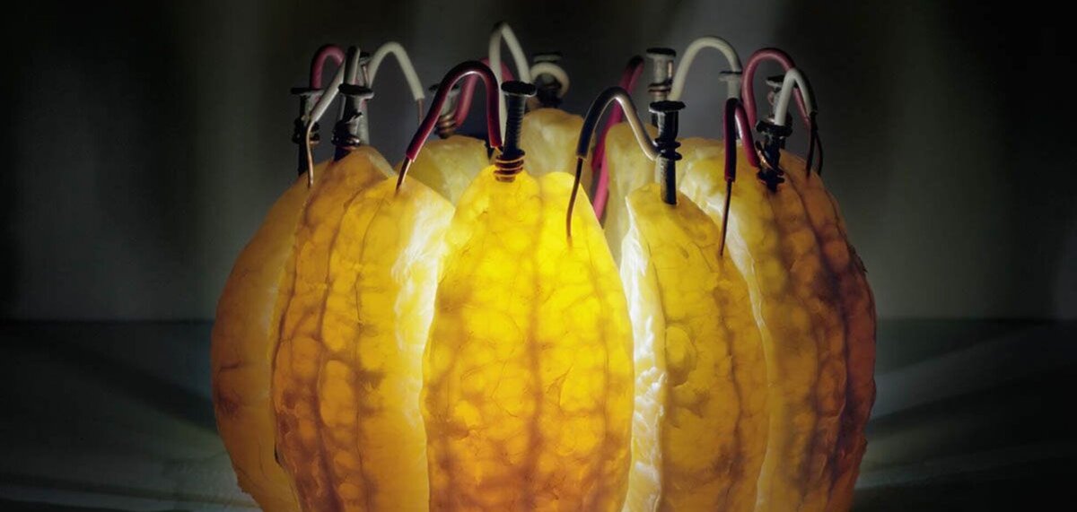 Яндекс.Картинки