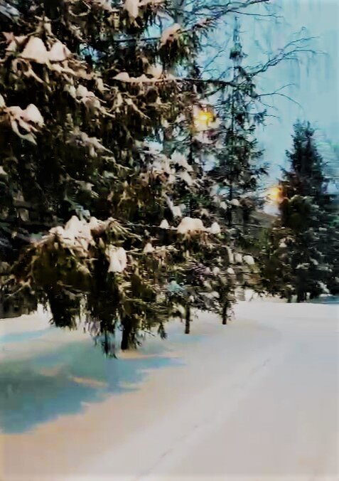 Фото автора канала ***Мама Лора***