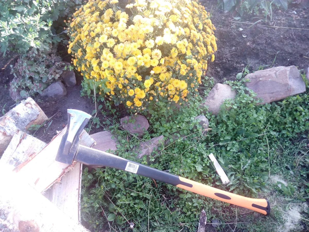 Мой подарок