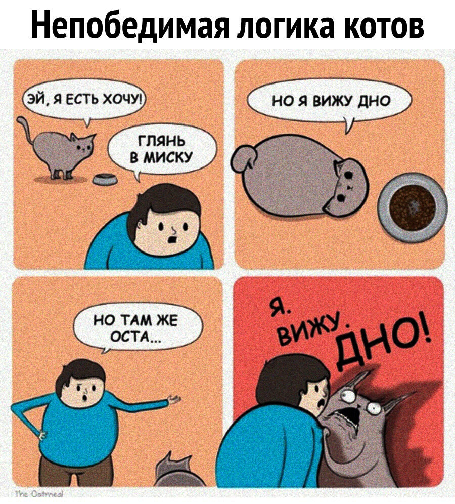 Я вижу дно кот Мем