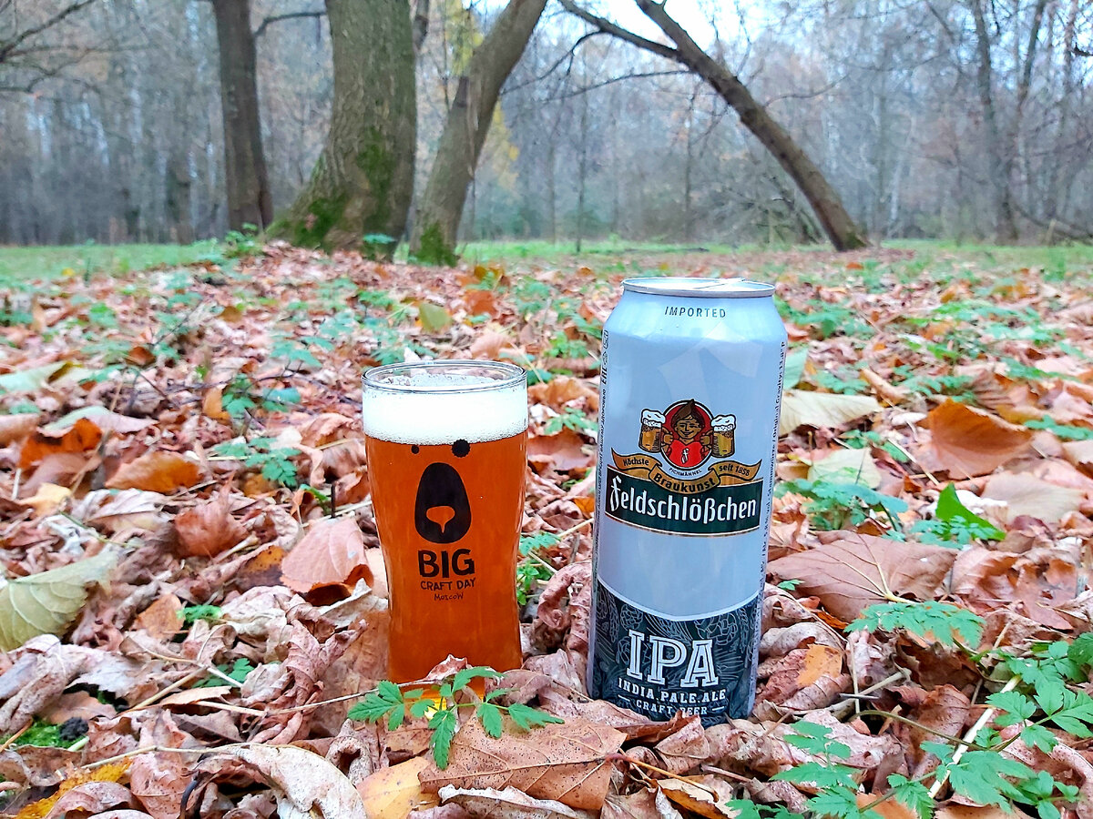 Feldschleschen IPA, фото автора