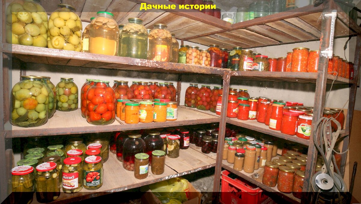 Как хранить кабачки в погребе на зиму. Дачный урожай хранение картинки. что можно хранить в погребе кроме овощей. можно ли клубнику хранить в ведре в погребе на зиму.