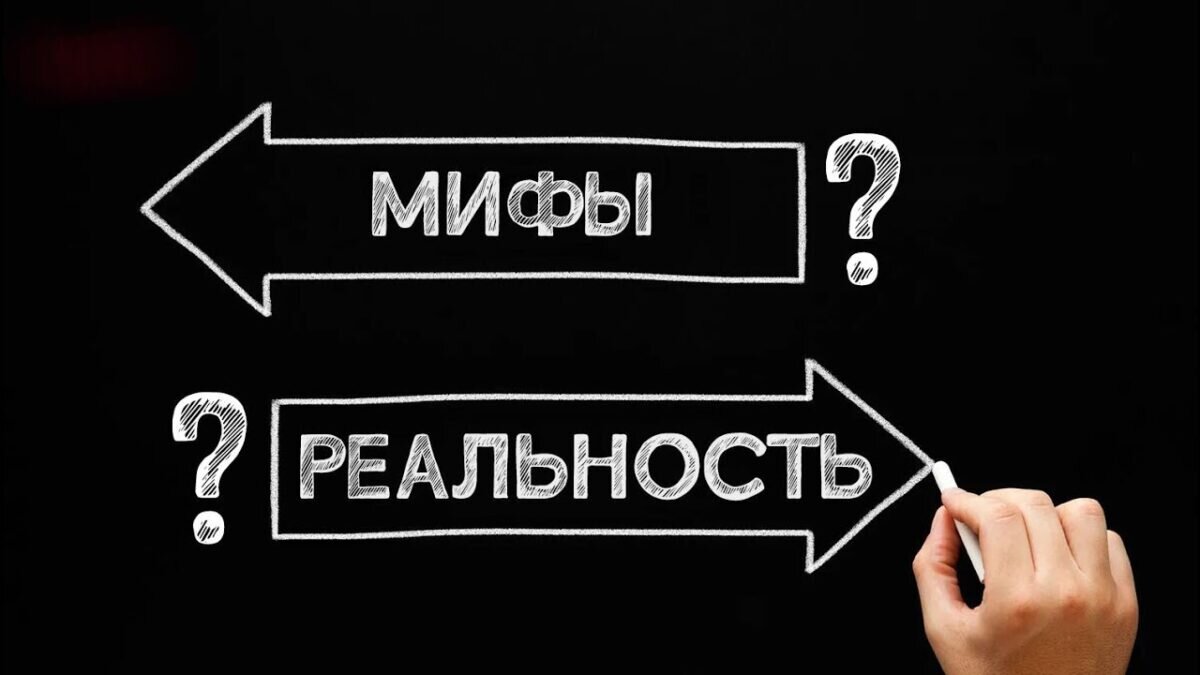 фото взято из открытого источника.