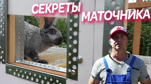 Как делать маточники для кроликов