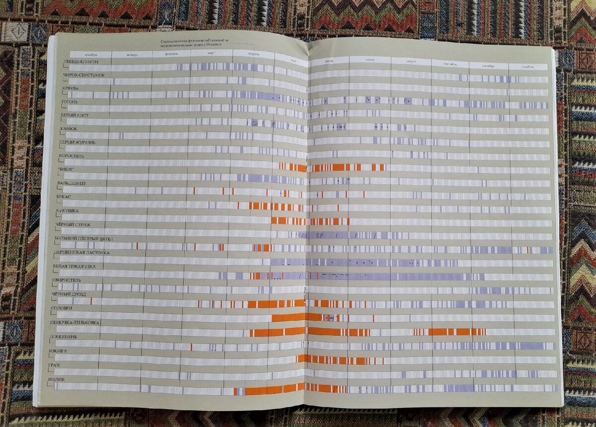 Систематизированные данные о встречах с различными видами на протяжении года