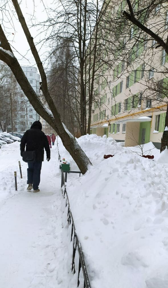 михайловна канал дзен, московская зима, декабрь 2021 в москве, человек идет в фикс прайс