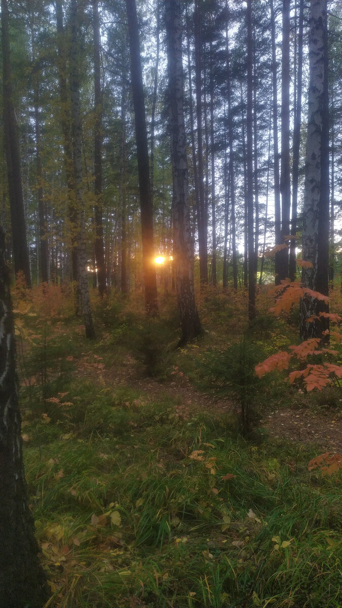Луч солнца может раздражать)))