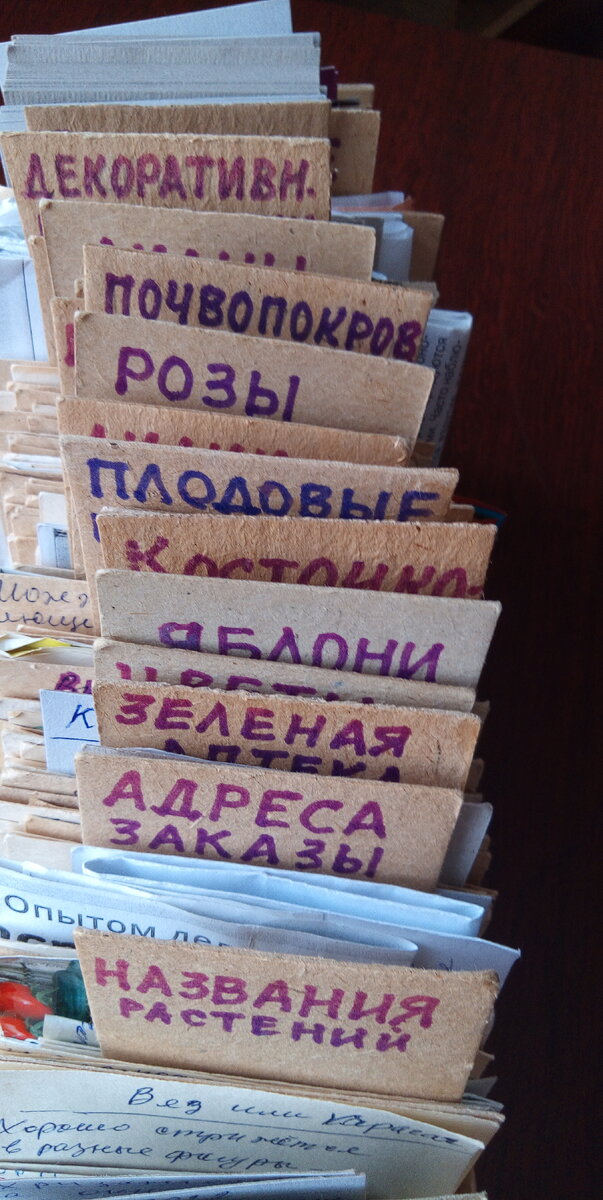 ВИД  СВЕРХУ