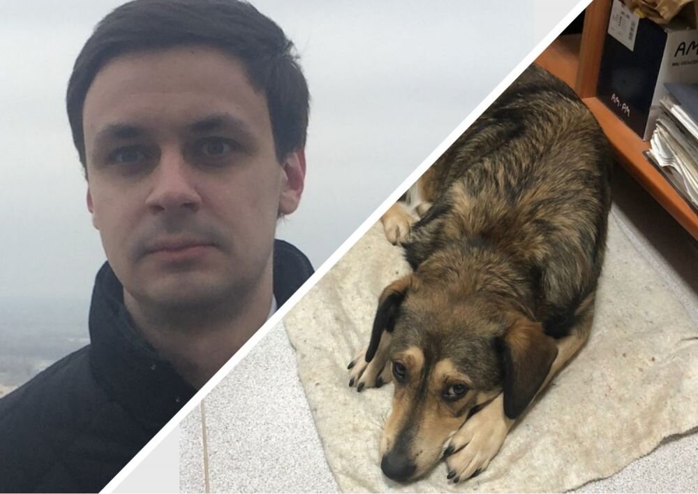 Для ликвидации острой проблемы общественник предлагает несколько способов