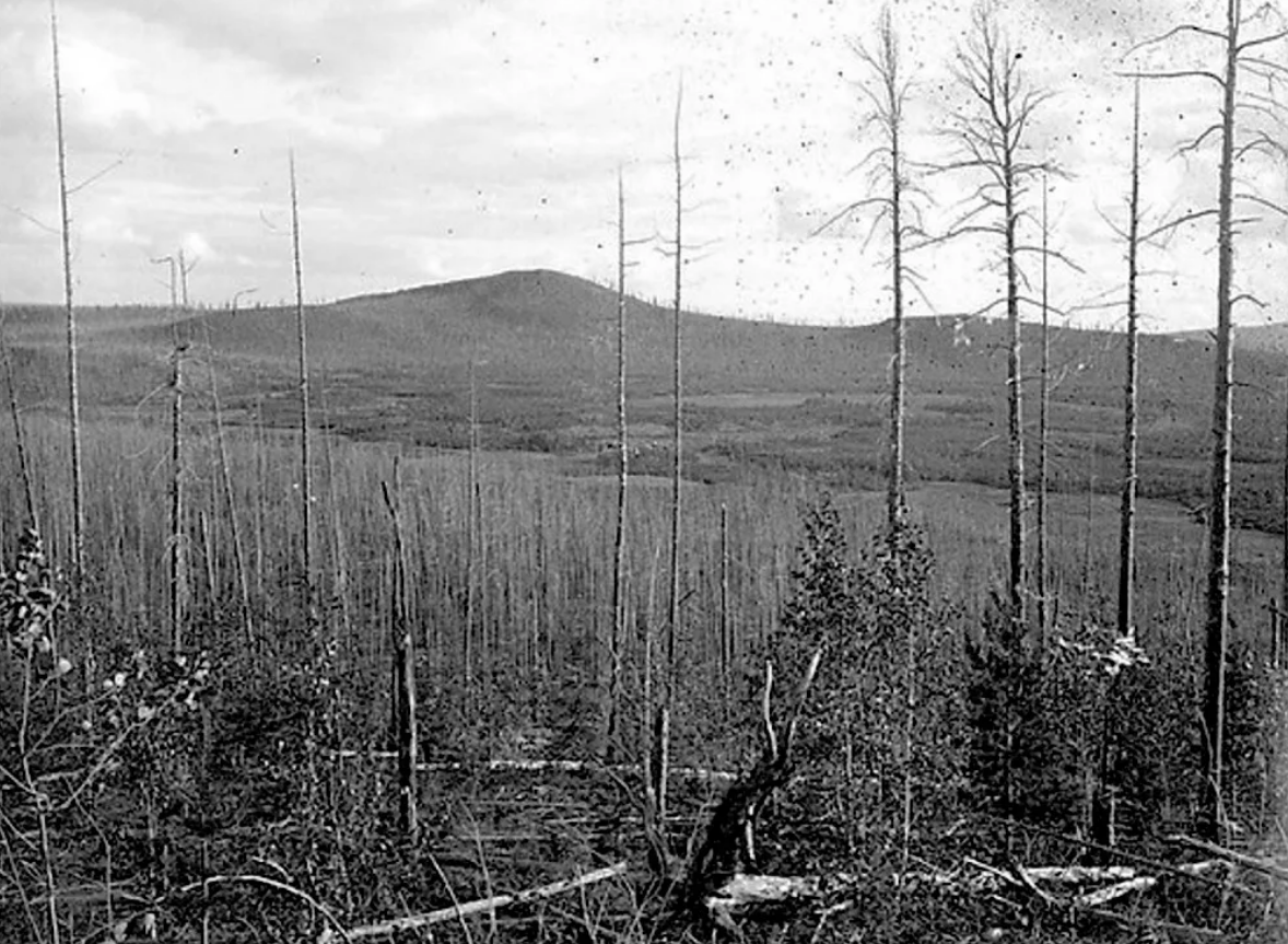 Тунгусская история. Тунгусский метеорит в 1908. Экспедиция Кулика к Тунгусскому метеориту. Тунгусский метеорит Эпицентр. Тунгусский метеорит кратер.