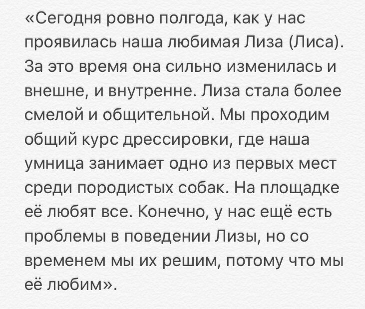 Весточка