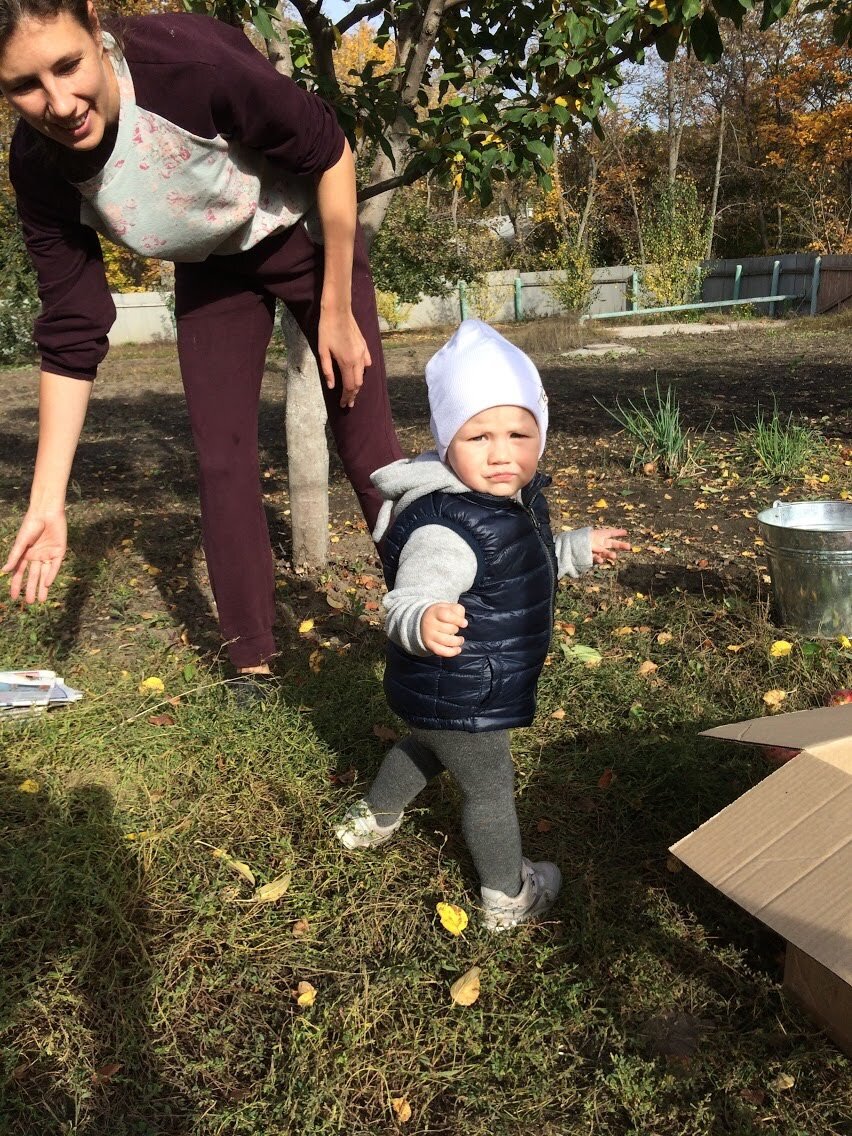 Пупс помогает яблоки собирать😆