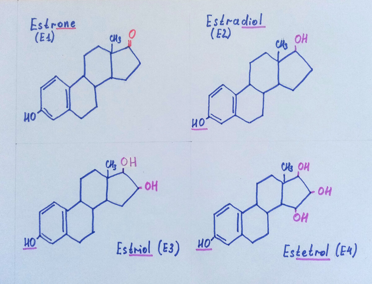 Рисунок автора 