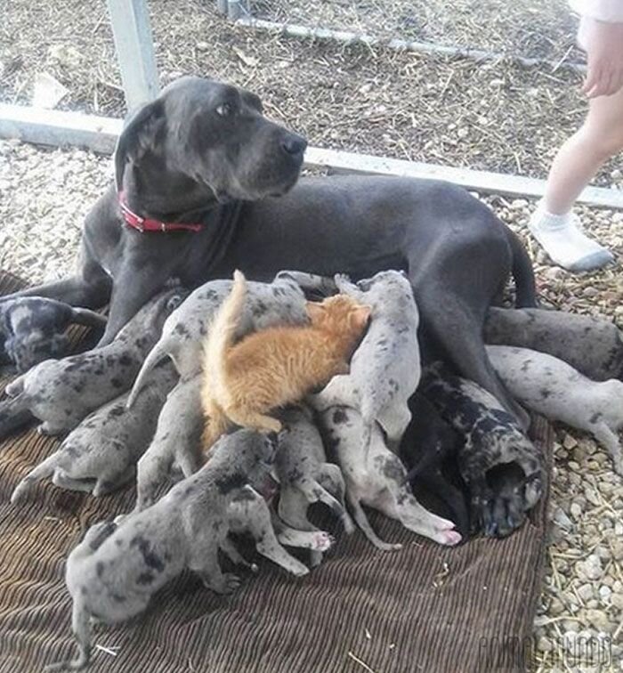 Тут уже одним больше, одним меньше...