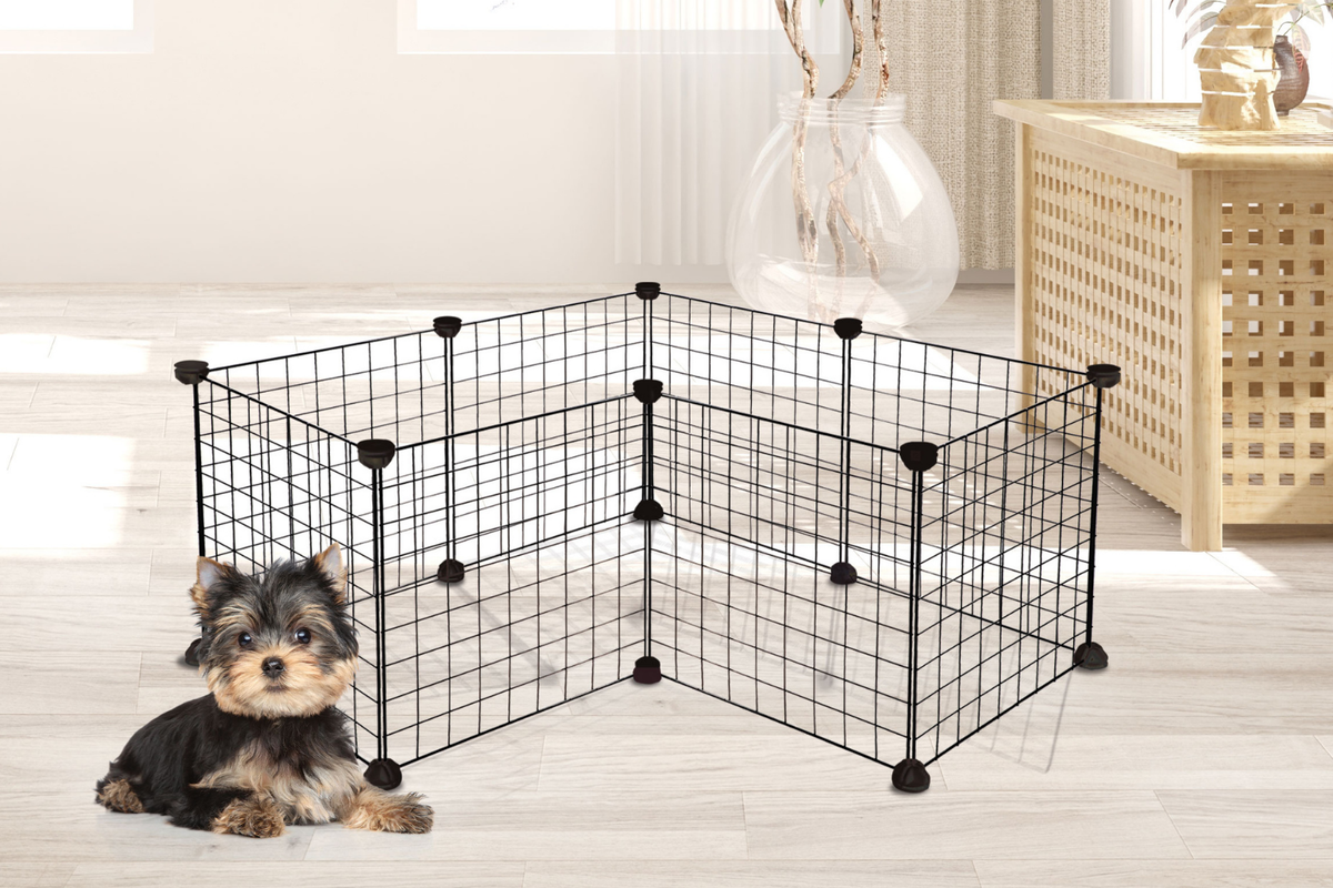 Вольеры-конструкторы из квадратных металлических секций легко собираются и трансформируются в клетку. На фото сборный вольер-конструктор для животных (арт. 30701008) TRIOL.