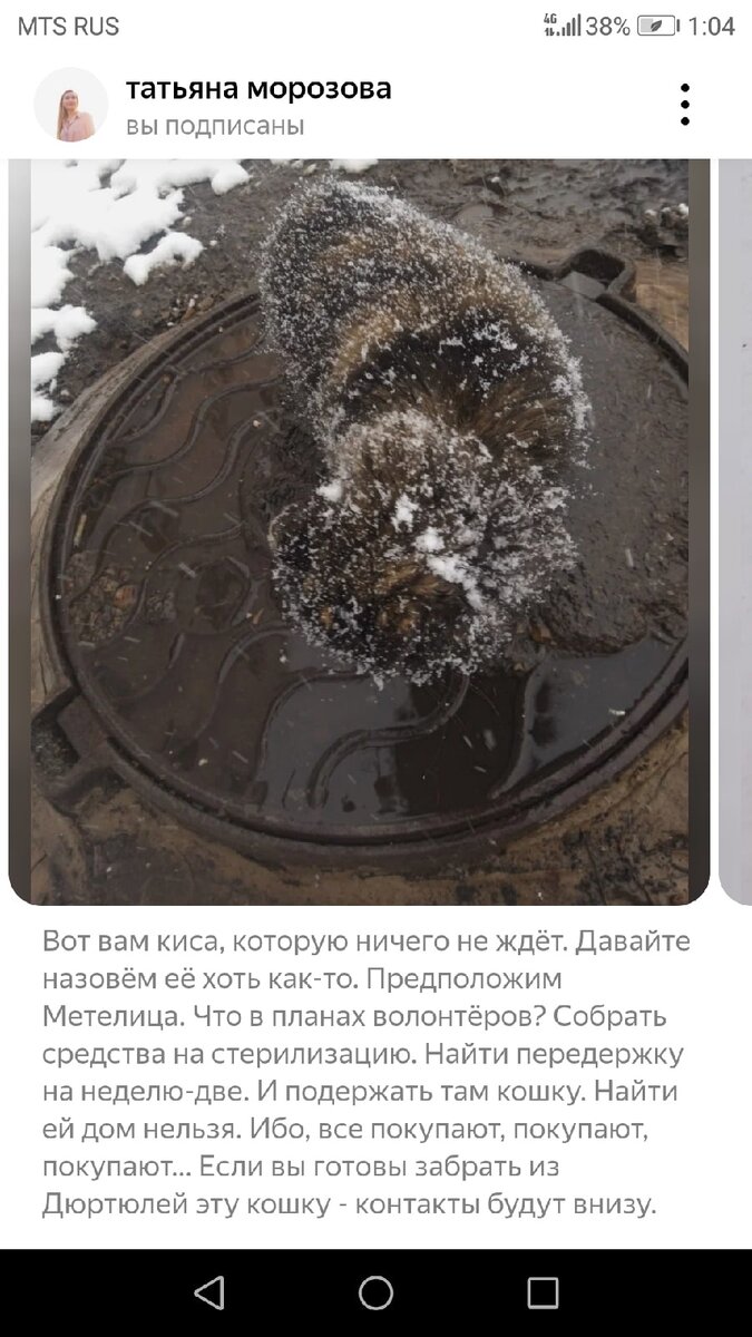 Помните этот мой жуткий пост? Про безысходность и плодильщиков? Так вот, для этой кисы мир мы с вами изменили! Фото с кухни будет ниже. 