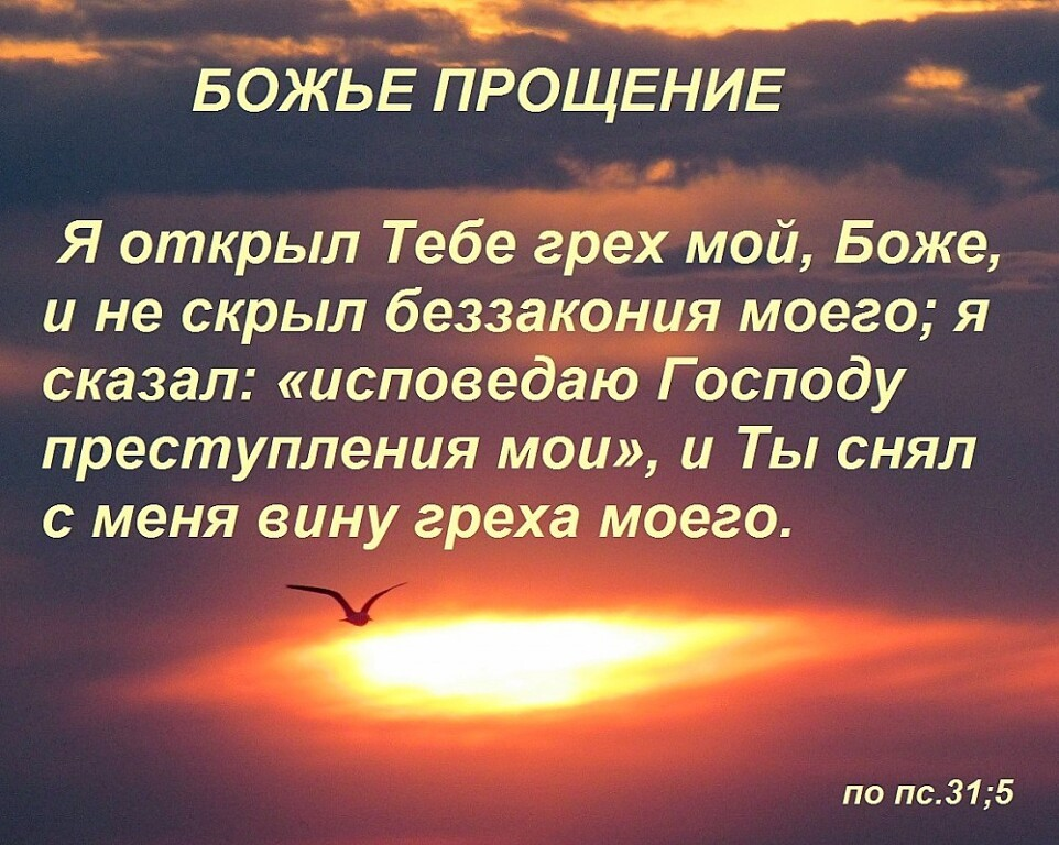 Боже находиться. Библейские стихи о прощении. Афоризмы о прощении. Христианское прощение. Христианские цитаты о прощении.