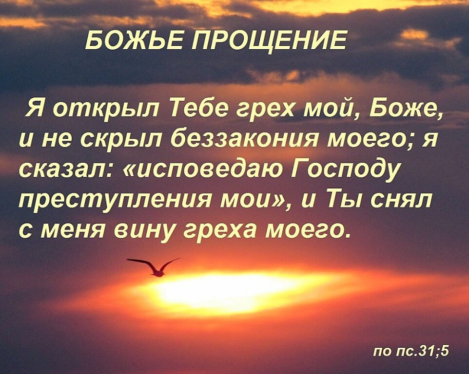 Слова божии стихи. Библейские стихи о прощении. Афоризмы о прощении. Христианское прощение. Христианские цитаты о прощении.