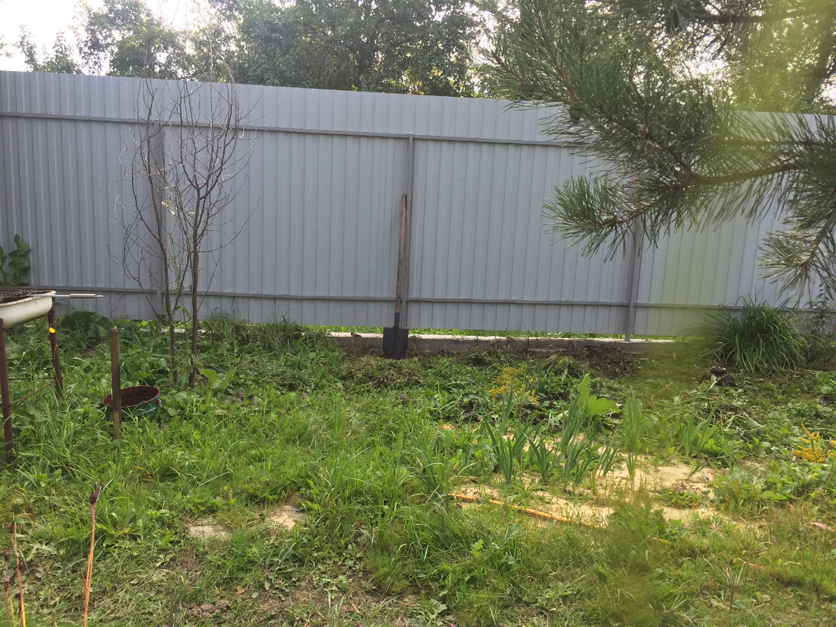 Территория возле забора под клумбу. Где лопата - там будет плетистая роза.