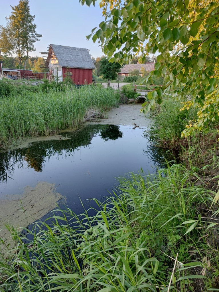 Фото: пресс-служба прокуратуры Ленобласти 