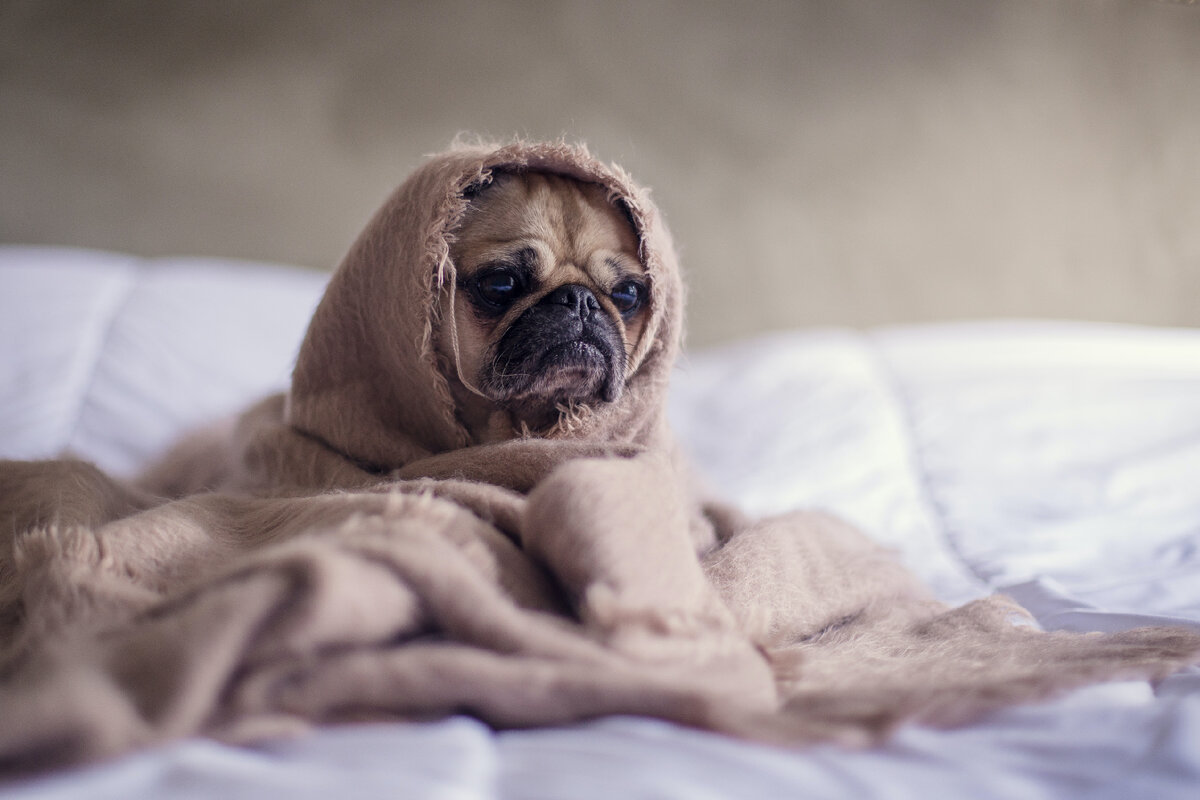 Источник: unsplash.com