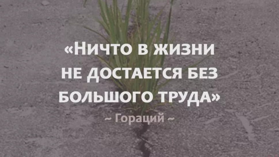 Успех труд цитаты. Цитаты про труд. умные фразы о труде. мудрые высказывания о труде. красивые высказывания про труд.