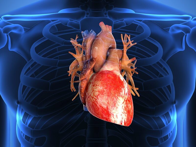 Вы находитесь на канале на котором ломаются стандартные стереотипы связанные со здоровьем, возрастом и спортом 