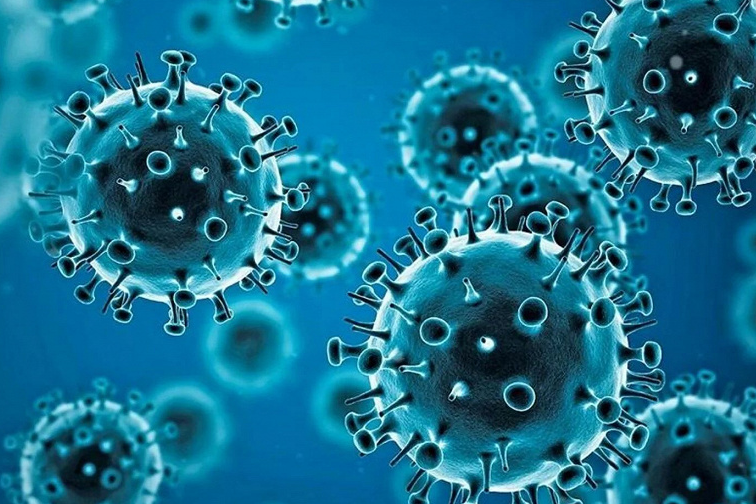 В США создали новый штамм ковида с летальностью 80%