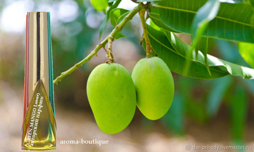 личный архив