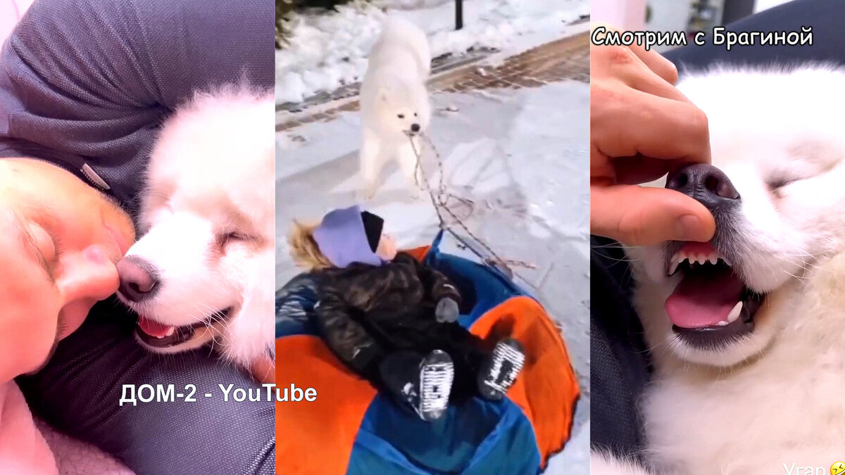 Ваня и Лео, инстаграм