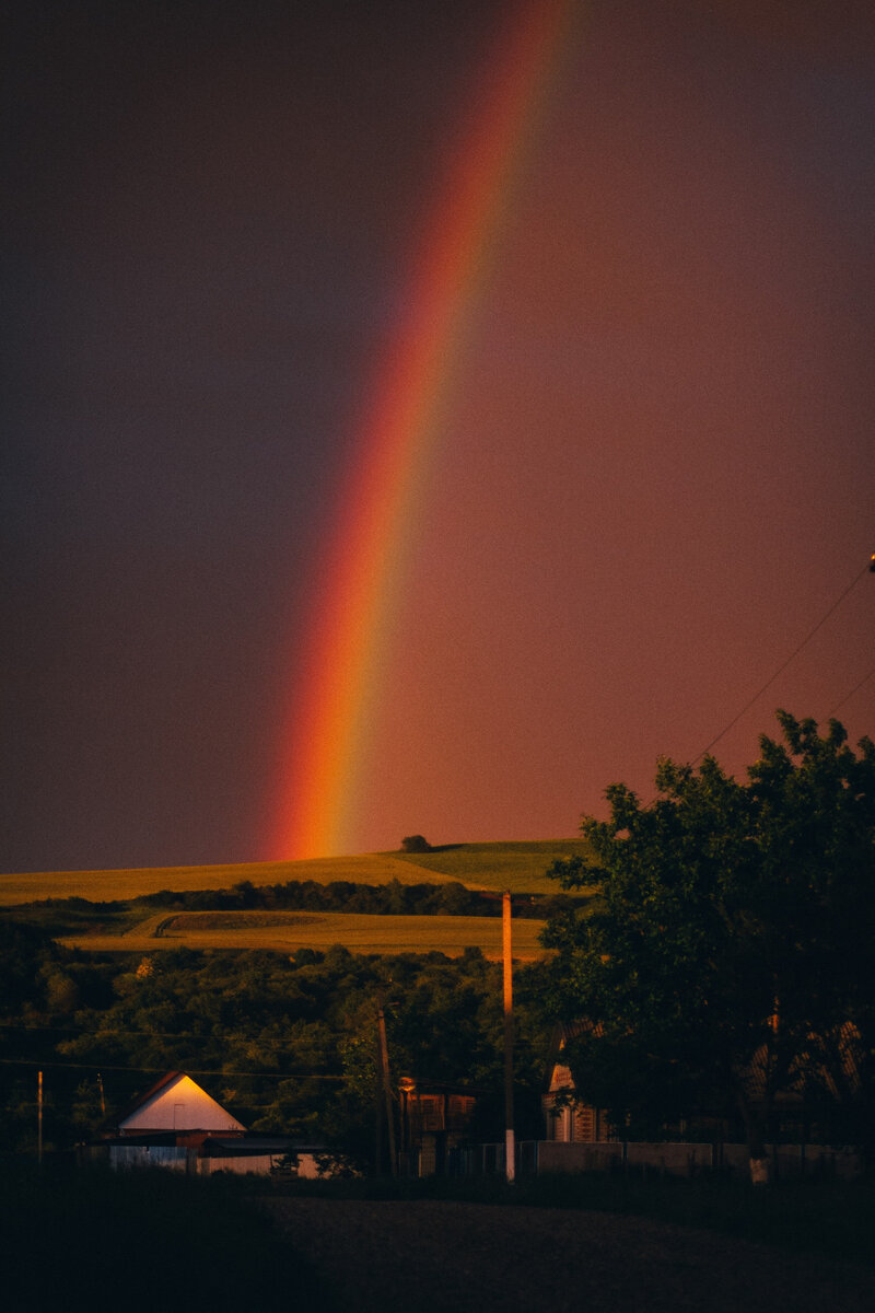 Фотография Дмитрий Иньков: Pexels