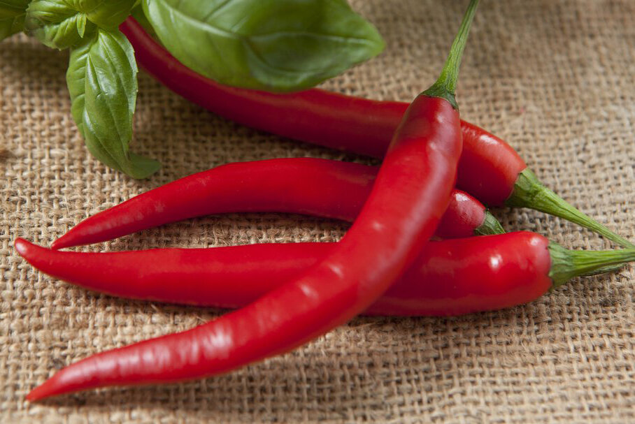 Картинку позаимствовала в сети