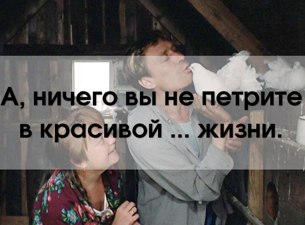 Коллаж канала "SevenTест".
