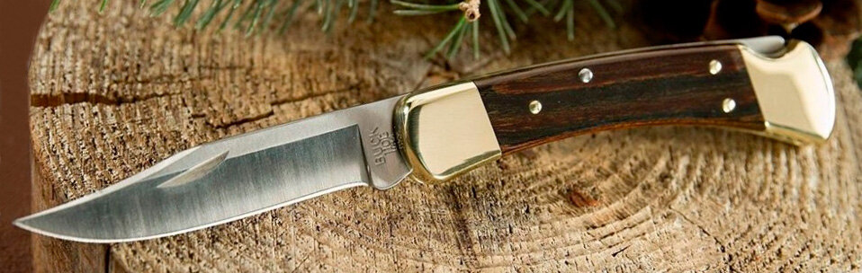 Классическая модель Buck 110 Folding Hunter