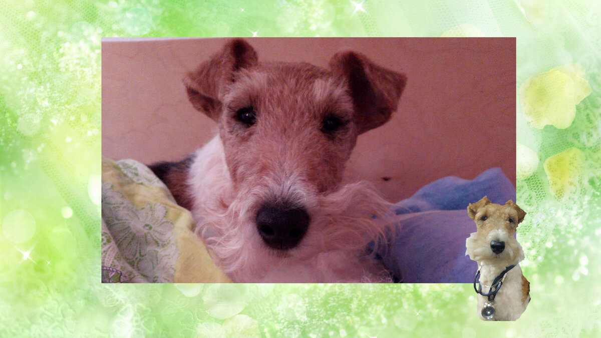 Иржи надеется, что ей не придётся вылезать из под тёплого одеяла и идти на холодную, мокрую, тёмную улицу.