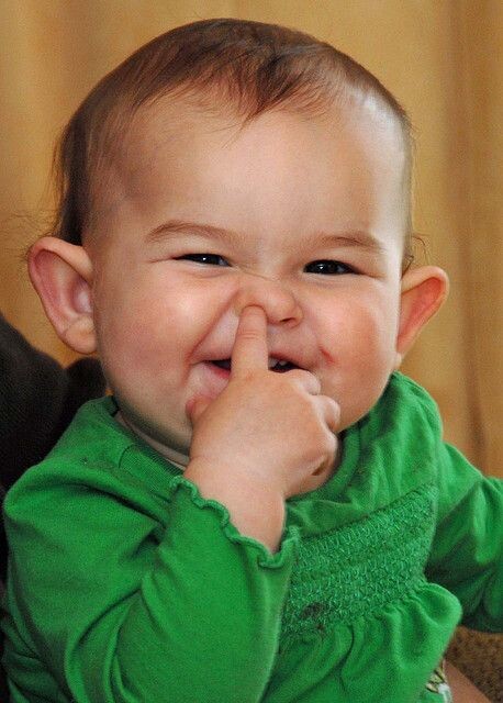 яндекс картинки