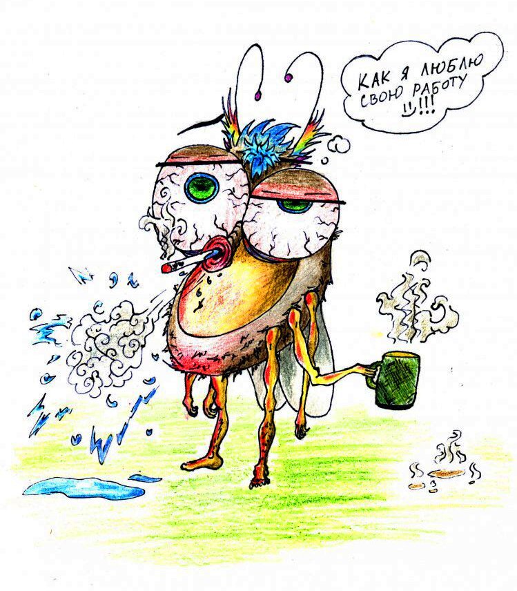 Изображение с сайта twitter.com/igor_lusko для иллюстрации статьи