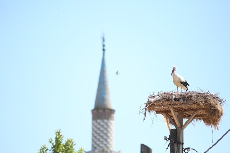 Фото: открытые источники