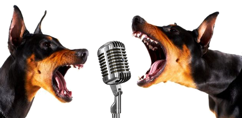 Фото взято из свободного доступа Интернета