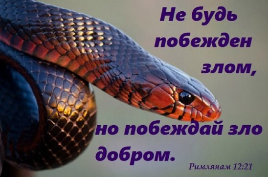 это правда!!!