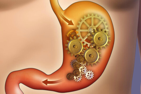 Источник: https://yandex.ru/images