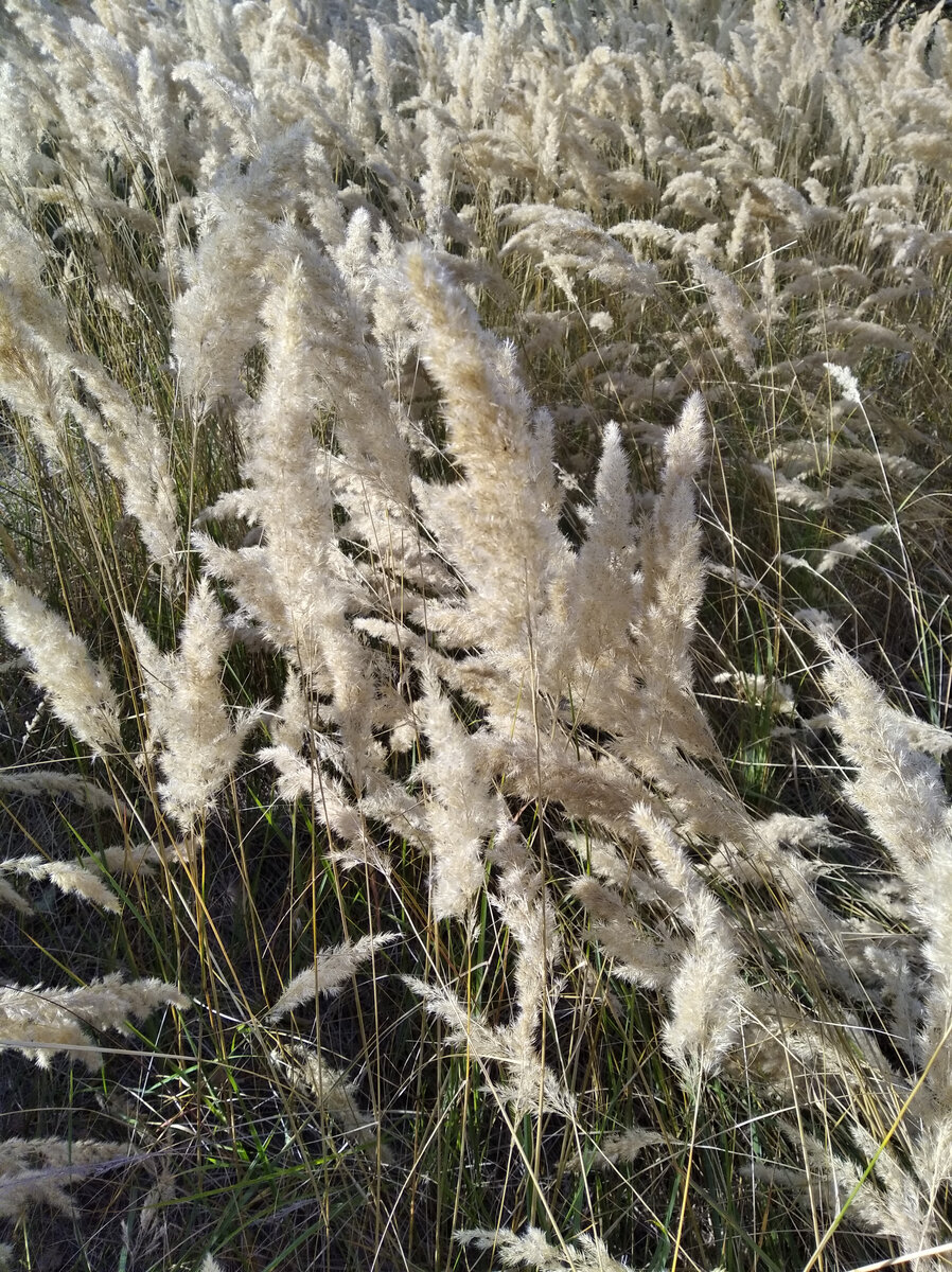 Фото из личного архива.