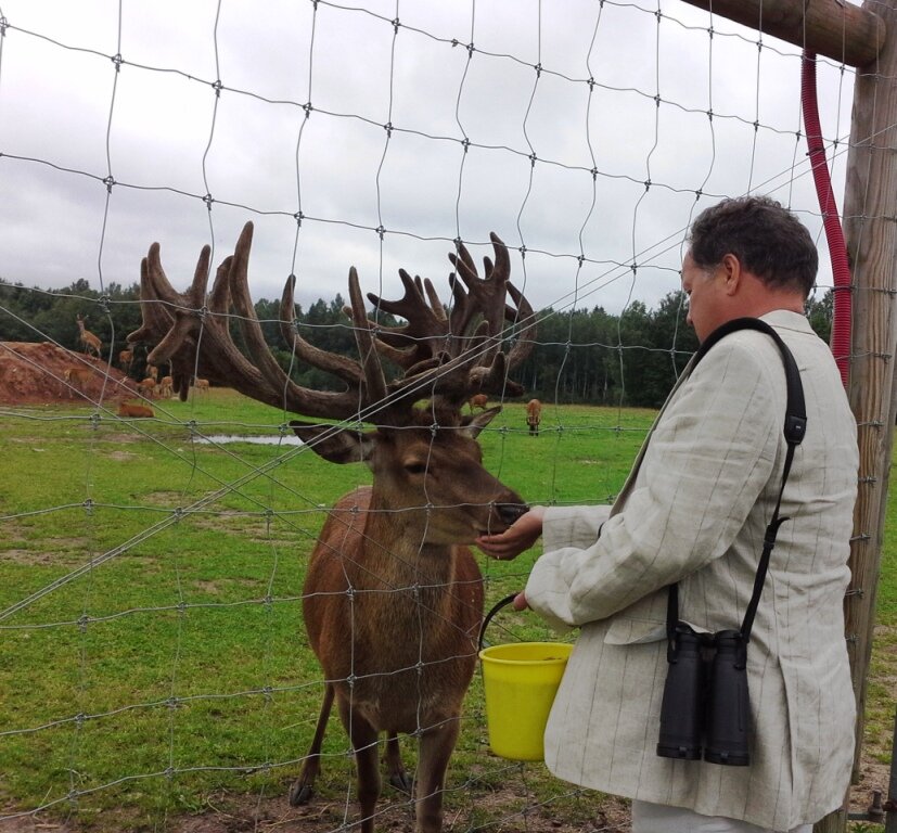Оленеводство. Что это такое? | ФЕРМЕРСТВО, ОЛЕНЕВОДСТВО | Дзен