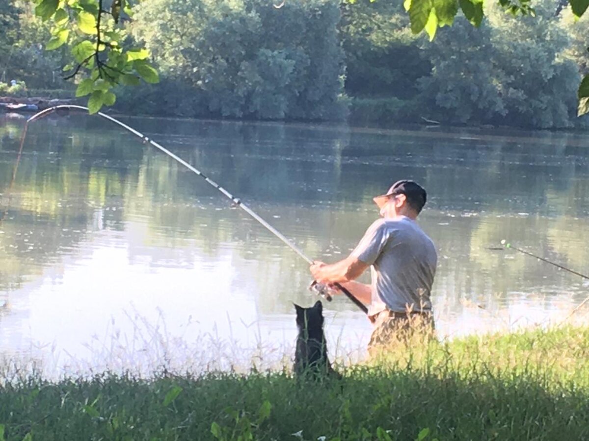 Фото из архива нашего друга и соавтора Эдуарда Нахатакяна.  Автор снимка: Ангелина Нахатакян.  Это другой кот, не Черныш из моего детства.  Но картинка очень похожа по настроению.
