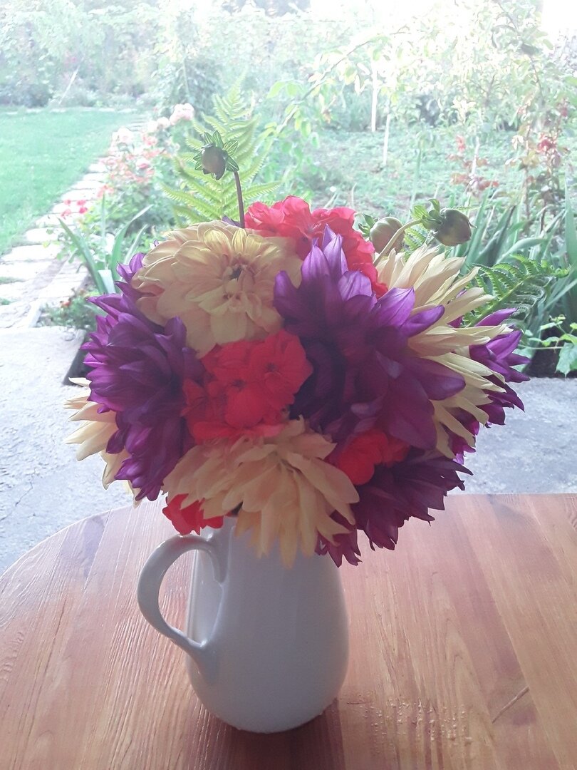 Надежда Крынина, организатор совместных закупок растений, Тольятти: 

"В сентябре зажигалась осень, в сентябре покидали дачи.
Пахло холодом и туманом, и немного большим костром.
И закат уже ровно в восемь, даже небо ещё не плачет, 
Только чуть холоднее утром, только окна закрыты днем.
Глубже и чуть спокойней небо, глубже и планомерней мысли, 
Наливаются новой силой разум, яблоки, облака.
Но ещё не конец сезона, и ещё не конец веселья, 
Ещё долго снегов не будет, ничему не конец пока!" 