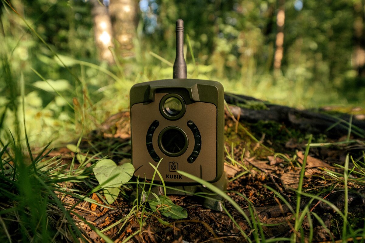 Фотоловушка dl001 инструкция. Фотоловушка кубик 2. Фотоловушка Kubik. Фотоловушка для дачи. Фотоловушка для охраны дачи.