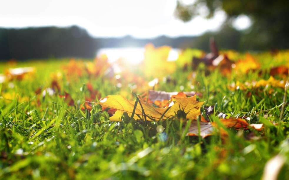 Фото — gazeta-n1.ru